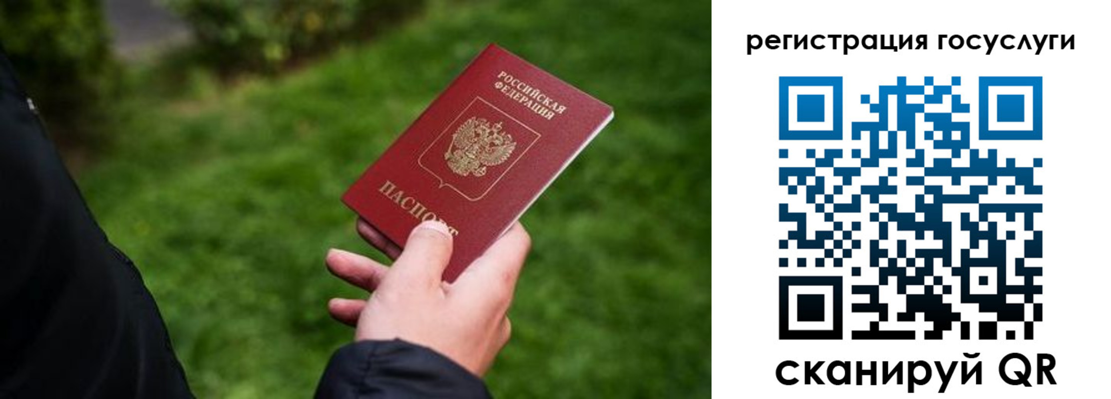 прописка в Вельске